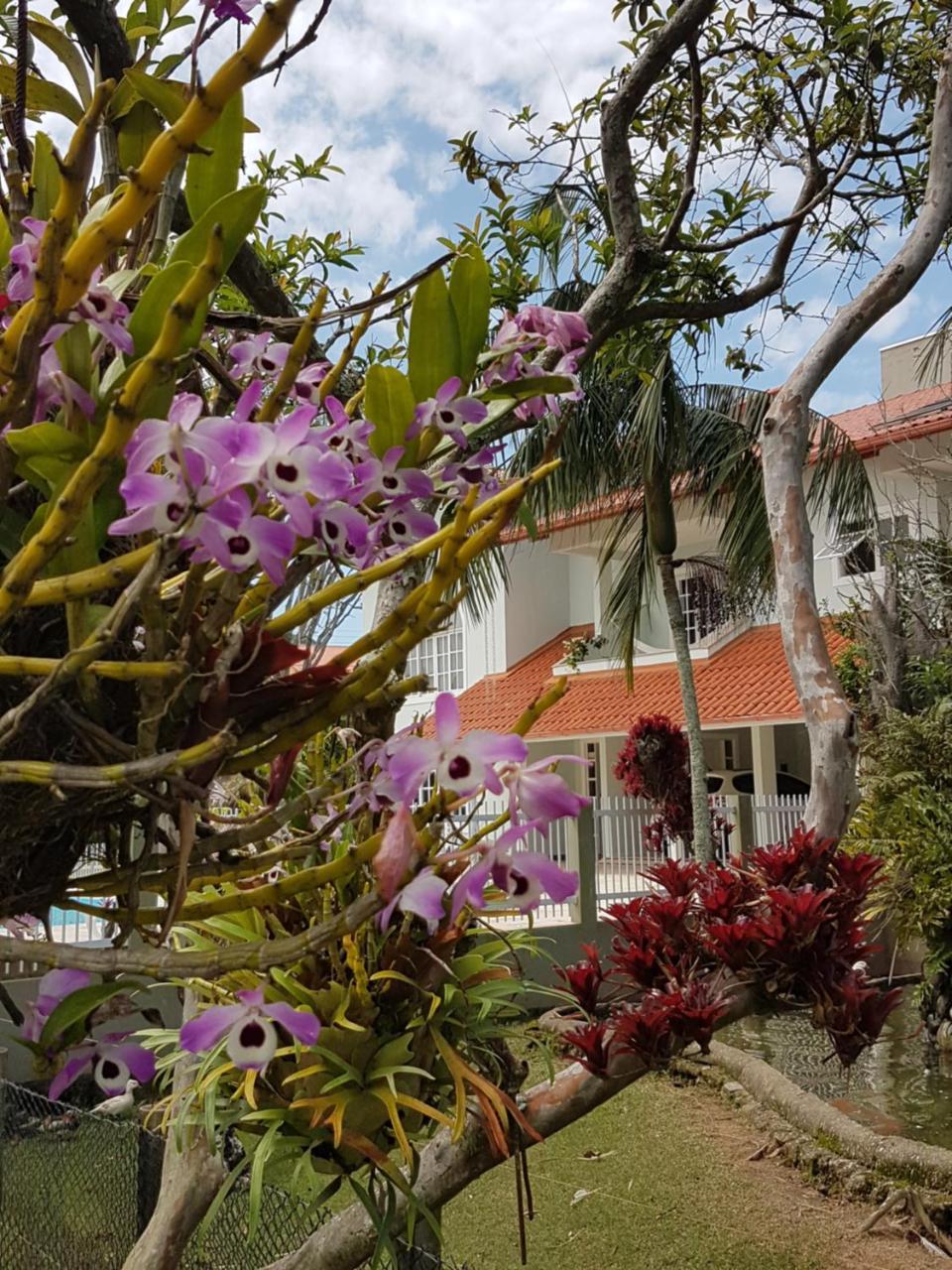 Pousada Pavao Branco Florianópolis Buitenkant foto